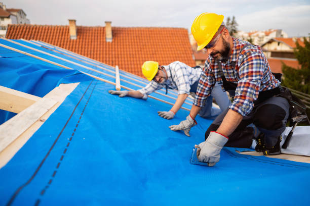Best Roof Leak Repair  in New Haven, IN
